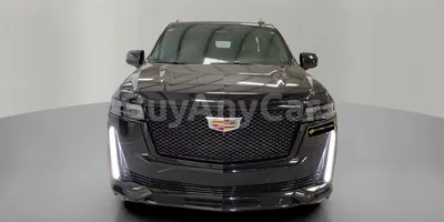 carsDetail