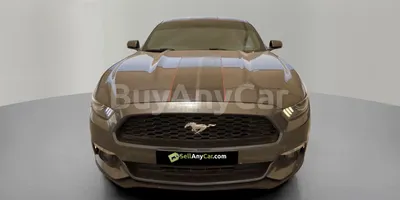 carsDetail