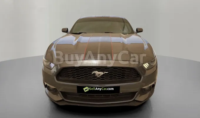 carsDetail