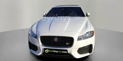 carsDetail