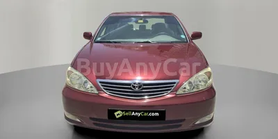carsDetail
