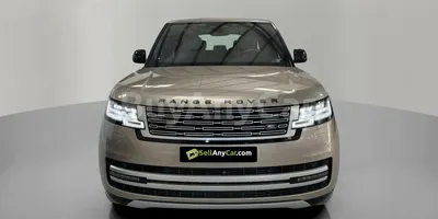 carsDetail