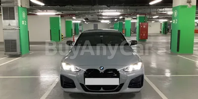 carsDetail