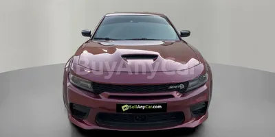 carsDetail