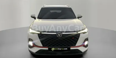 carsDetail