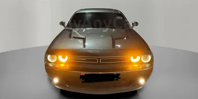 carsDetail