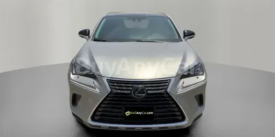 carsDetail