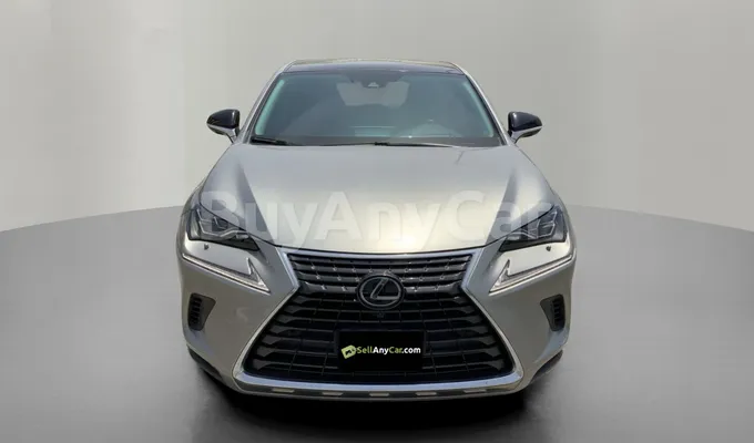 carsDetail