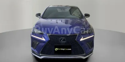 carsDetail