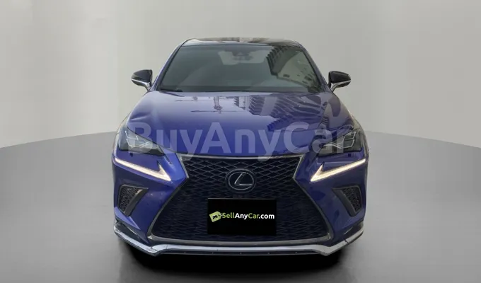 carsDetail
