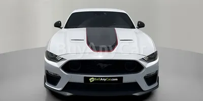 carsDetail
