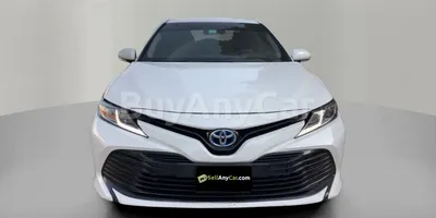 carsDetail