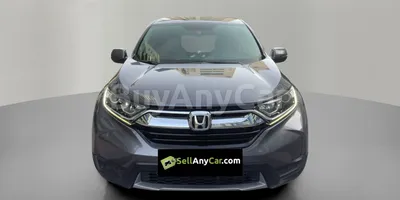 carsDetail