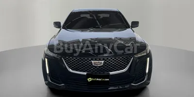 carsDetail