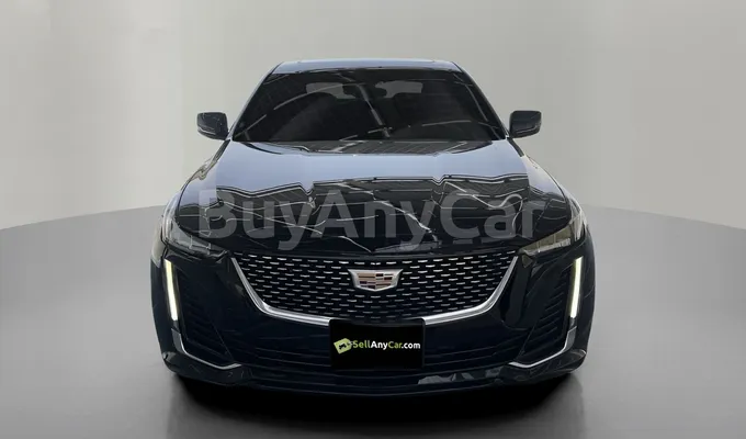carsDetail