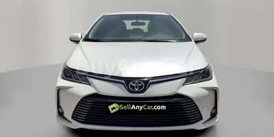 carsDetail