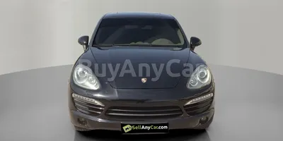carsDetail