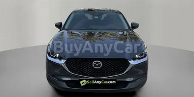 carsDetail