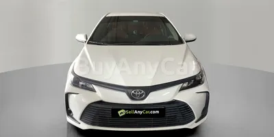 carsDetail