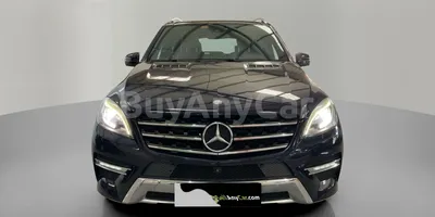 carsDetail