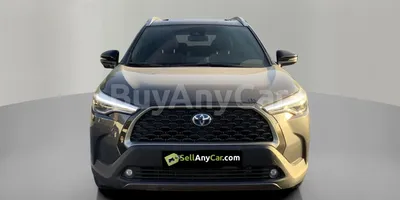 carsDetail