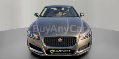 carsDetail