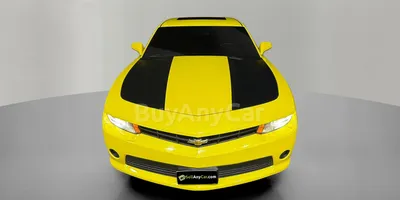 carsDetail