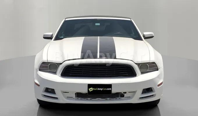 carsDetail