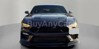 carsDetail