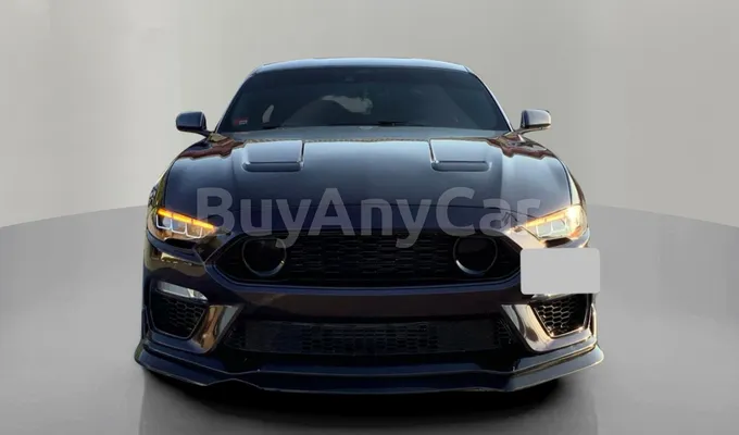 carsDetail