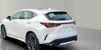 carsDetail