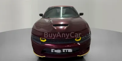 carsDetail