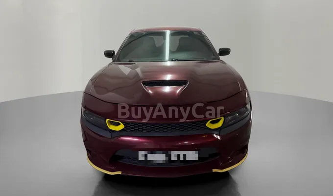 carsDetail