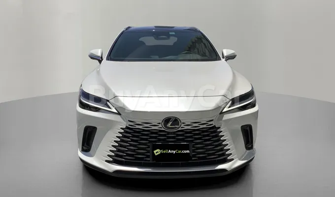 carsDetail