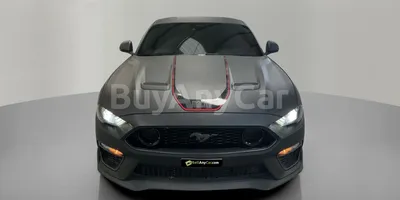 carsDetail