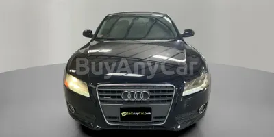 carsDetail