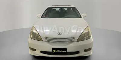 carsDetail