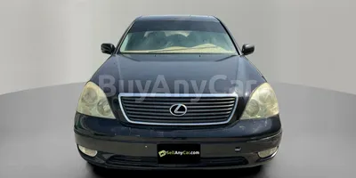 carsDetail