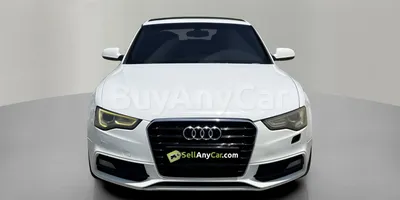carsDetail