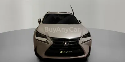 carsDetail