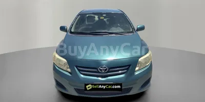 carsDetail