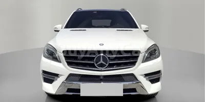 carsDetail