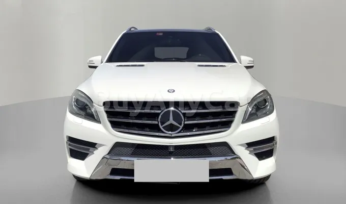 carsDetail