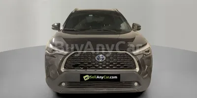 carsDetail