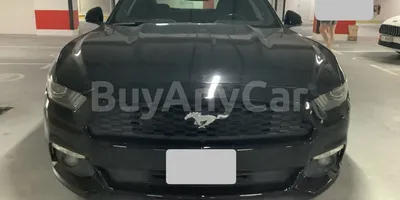 carsDetail