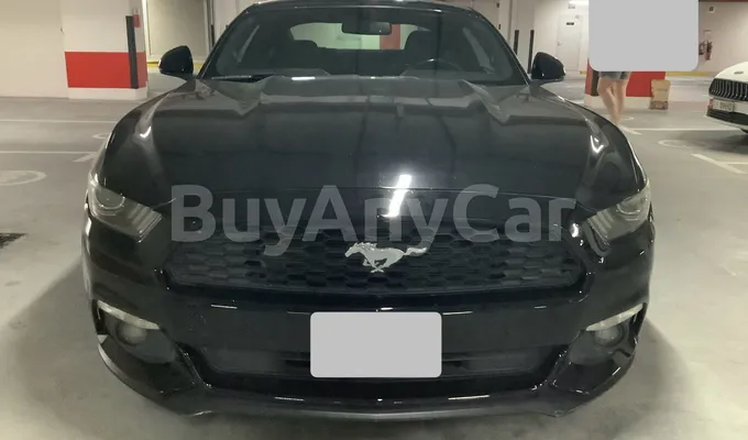 carsDetail