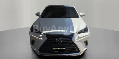 carsDetail