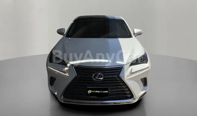 carsDetail