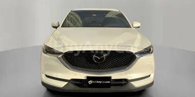 carsDetail
