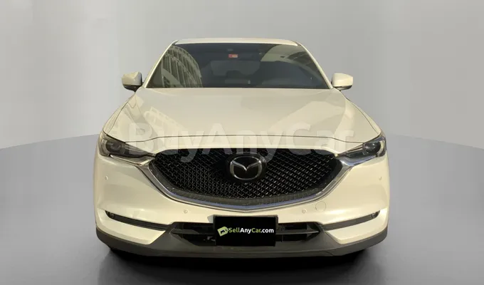 carsDetail